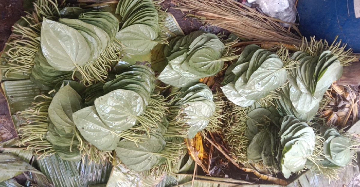 মধ্য রাতে বসে পানের হাট, আন্তর্জাতিক বাজার ধরতে সহযোগিতা চান ব্যবসায়ীরা