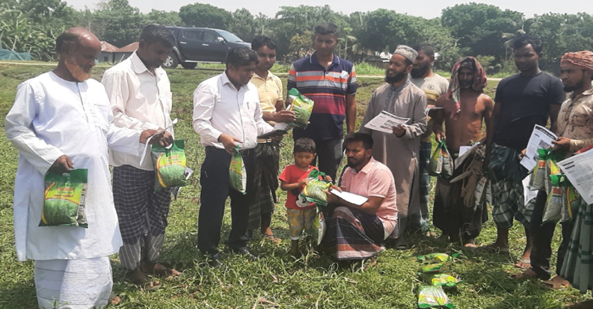 বালিয়াকান্দিতে ক্ষতিগ্রস্থ কৃষকের মধ্যে পাট বীজ বিতরণ