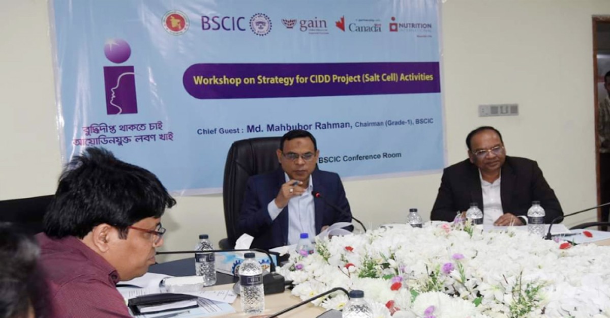 বিসিকে Strategy For CIDD Project (Salt Cell) Activities -এর উপর কর্মশালা অনুষ্ঠিত