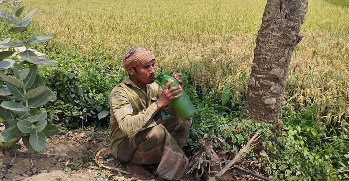 চুয়াডাঙ্গায় একদিনের ব্যবধানে কমল তাপমাত্রা, কমেনি গরমের তীব্রতা