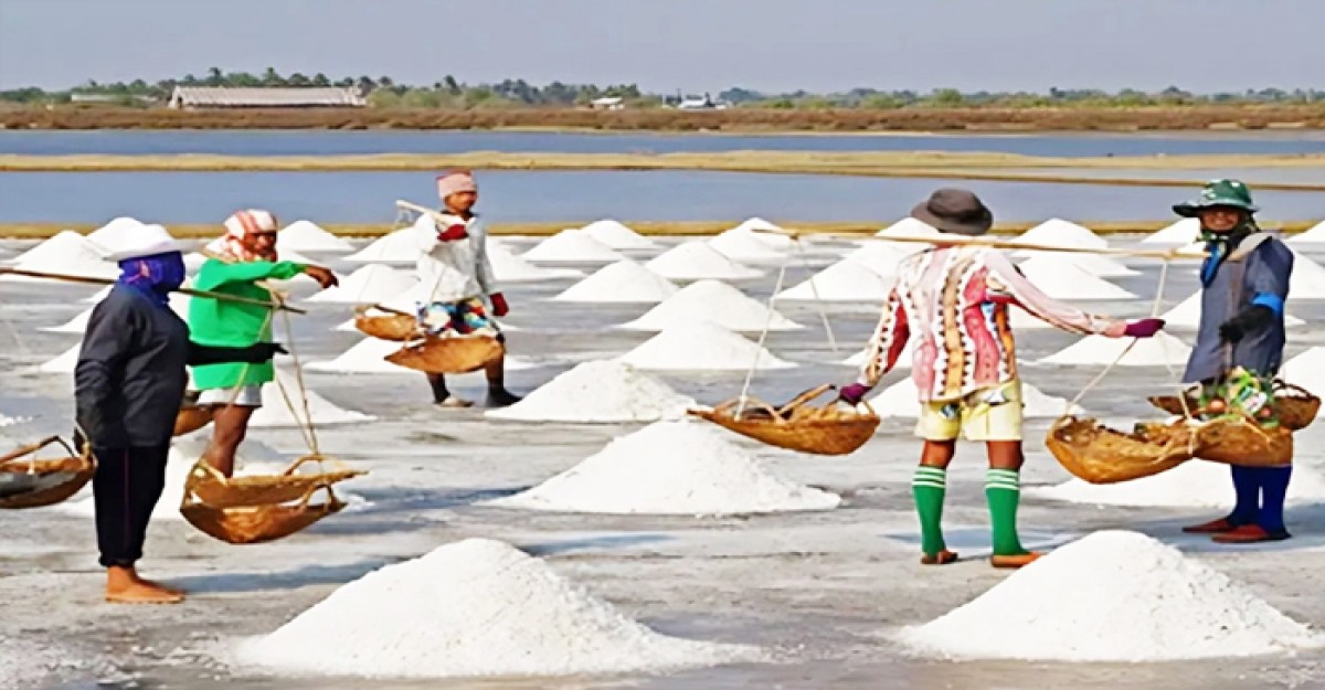 ৬২ বছরের মধ্যে সর্বোচ্চ লবণ উৎপাদন