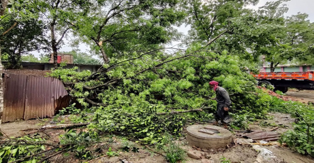 কালবৈশাখীর তাণ্ডবে লণ্ডভণ্ড চুয়াডাঙ্গা