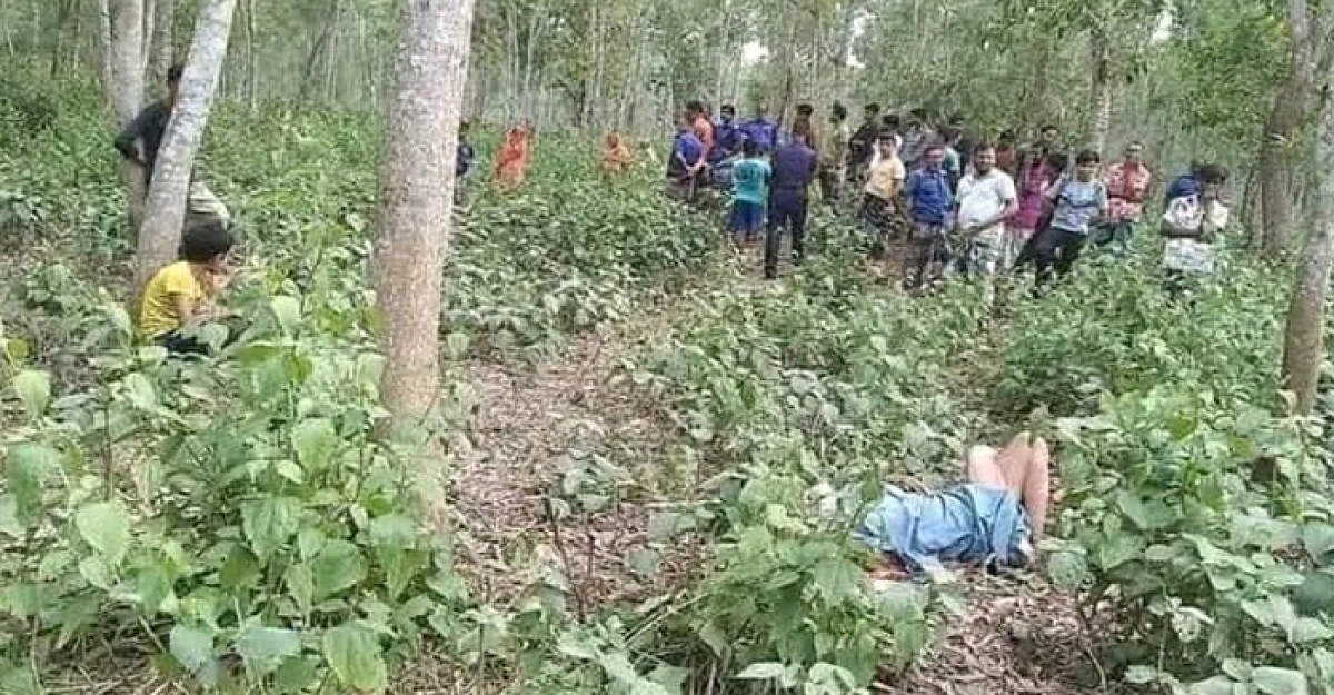 ঘাটাইলে বনের ভিতর বৃদ্ধের লাশ!