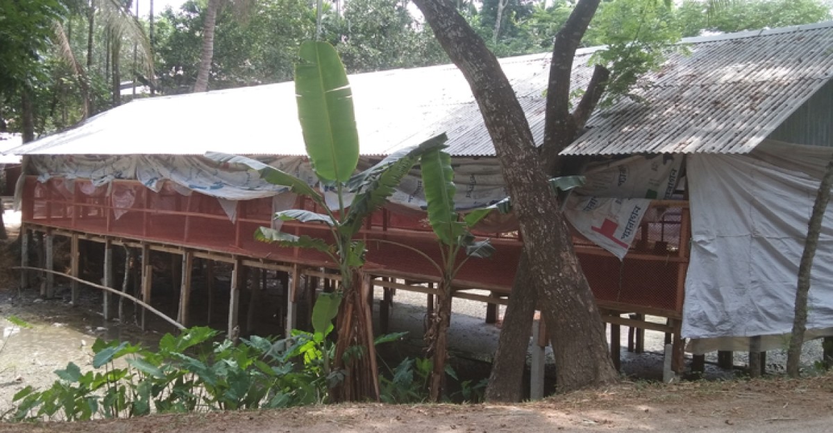 গলাচিপায় পূর্ব শত্রুতার জেরে পোল্ট্রি ফার্মে আগুন দেওয়ার অভিযোগ