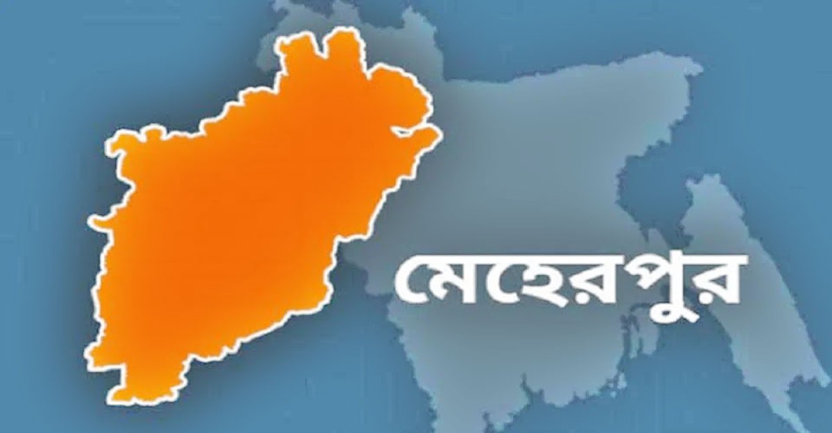 বোনের মৃত্যুর ১৭ ঘণ্টা পর ভাইয়ের মৃত্যু