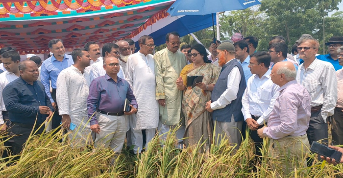 গোপালগঞ্জে এলজিইডি'র উদ্যোগে প্রশিক্ষণ ও বীজ প্রদান