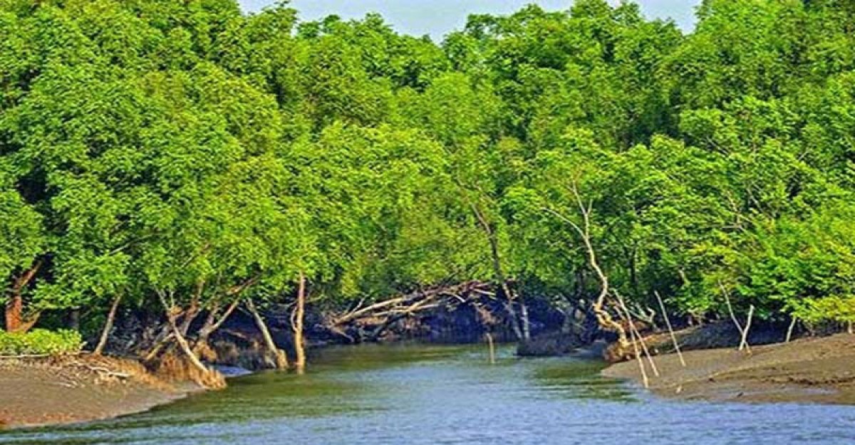 কয়রায় নির্মিত হচ্ছে পর্যটন কেন্দ্র