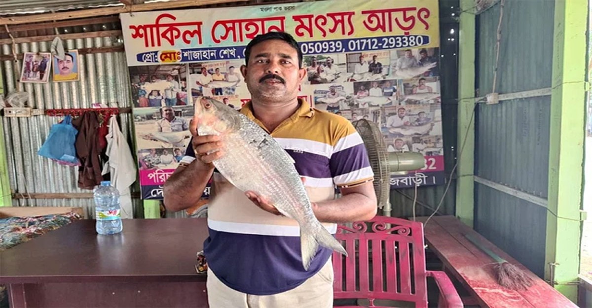 পদ্মার এক ইলিশ বিক্রি হলো ১০ হাজারে