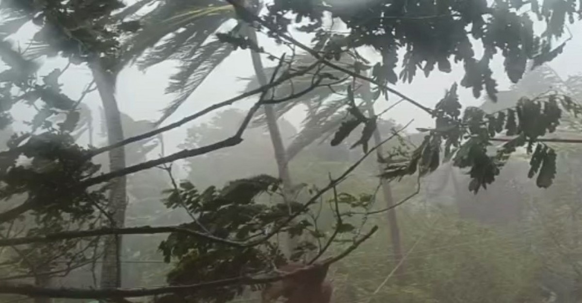 সেন্টমার্টিনে তীব্র ঝড়ো হাওয়া: অংসখ্য গাছ-ঘর বিধ্বস্ত