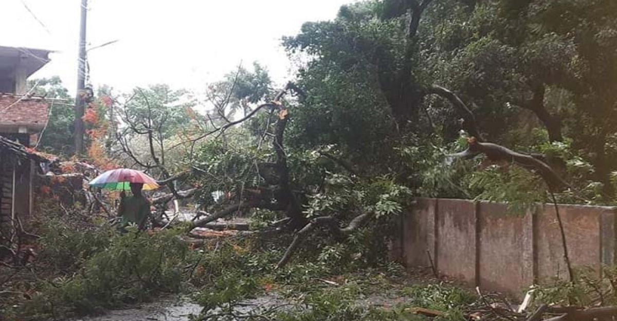 উপকূলে জুড়ে তান্ডব: কক্সবাজারের ১২ হাজার ঘর বিধ্বস্ত