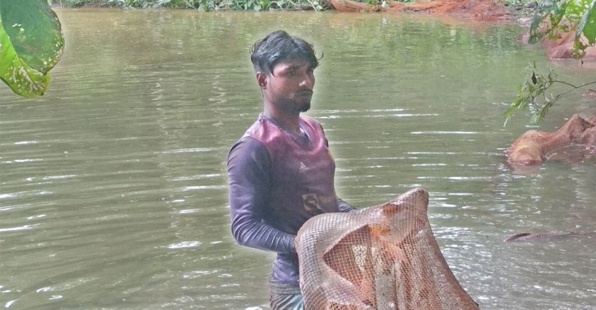 গলাচিপায় জোর করে পুকুরে মাছ ধরার অভিযোগ