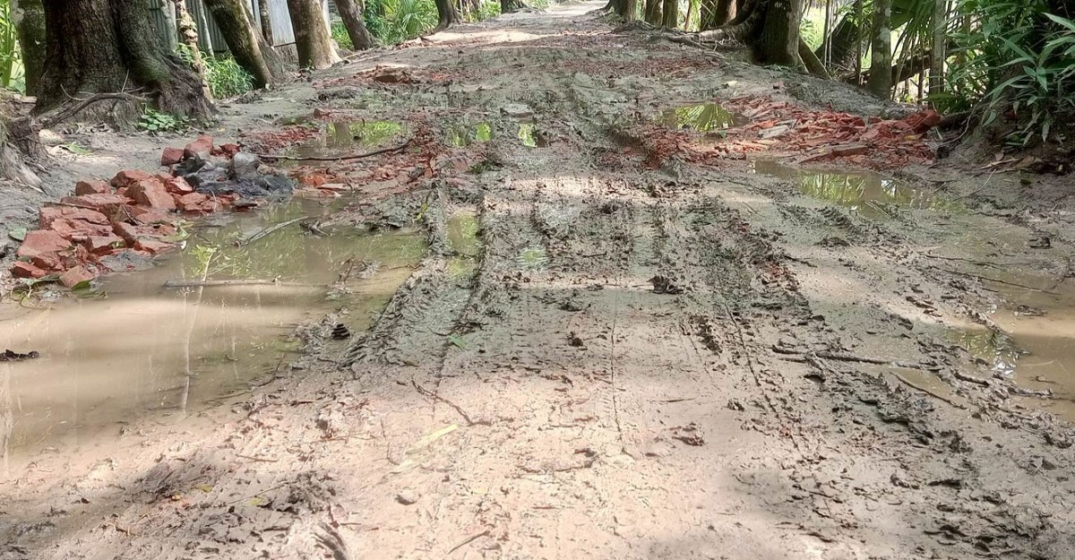 দুমকিতে সড়কের বেহাল দশা