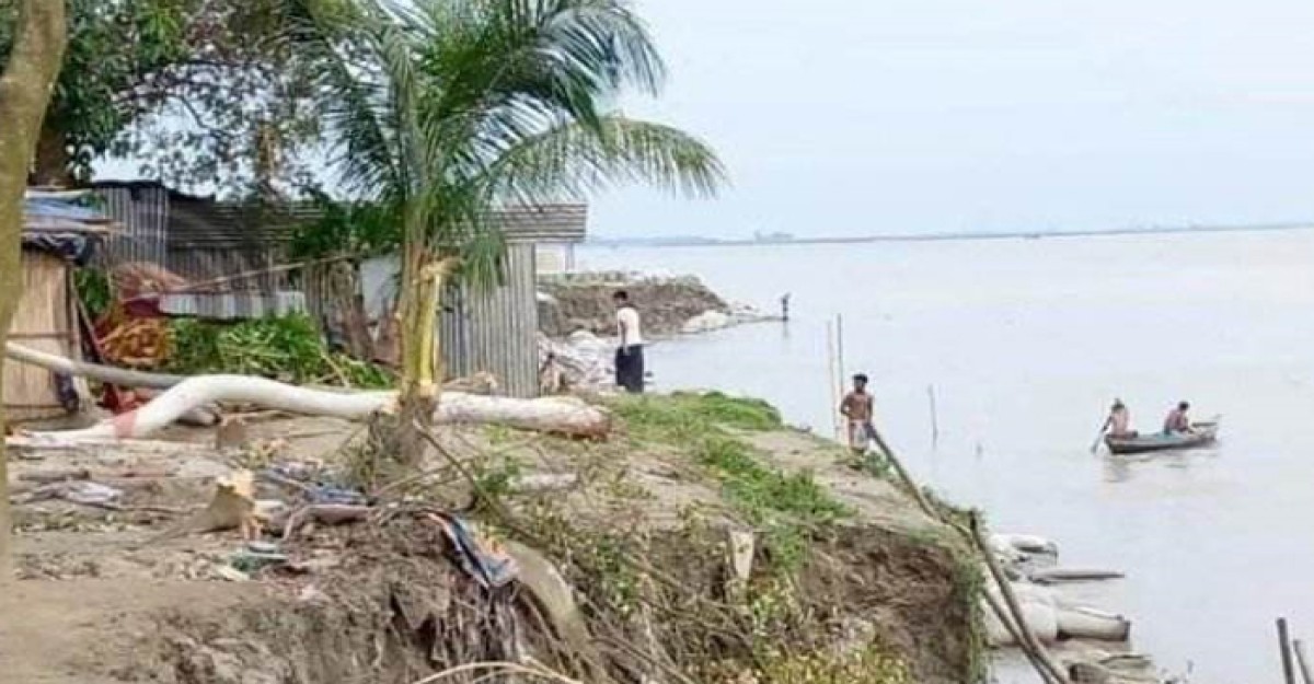 মুন্সীগঞ্জে পদ্মা নদীর তীরে ভাঙন আতঙ্ক