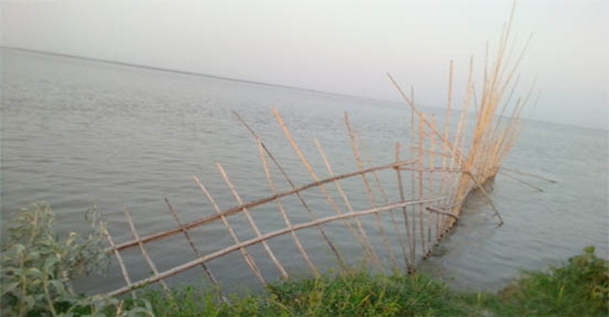বেড়ায় ভাঙন রোধে নদীতে বাঁশের ছটকা