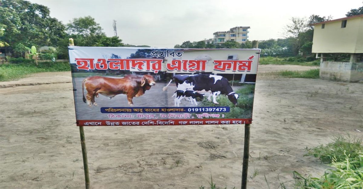 টংগীবাড়িতে সফল তরুণ কৃষি উদ্যোক্তা সুমন হালদার
