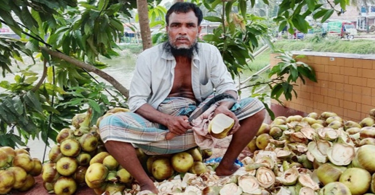 শিবচরে গরমে তালের শাঁসের চাহিদা বেড়েছে