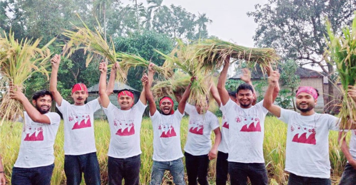জলঢাকায় কৃষকের ধান কেটে ঘরে পৌঁছে দিল ছাত্রলীগের নেতাকর্মীরা