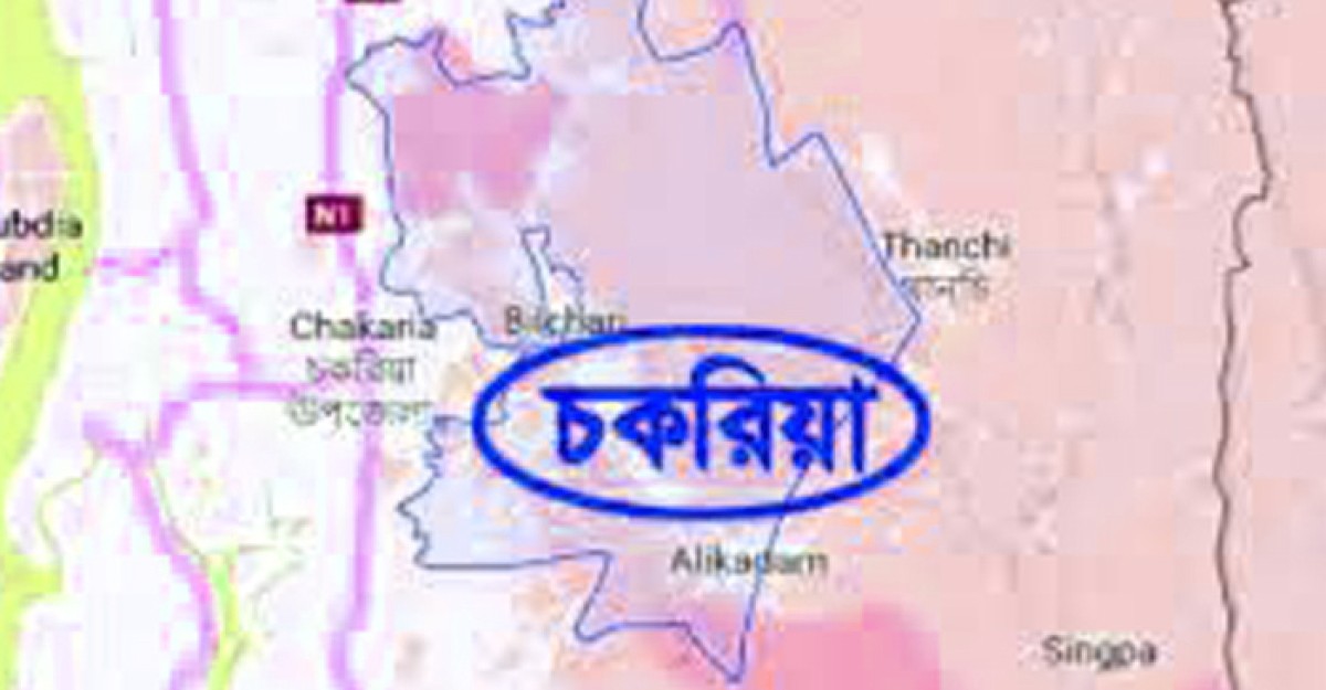 চকরিয়ায় গাড়ী চাপায় স্কুল ছাত্র নিহত