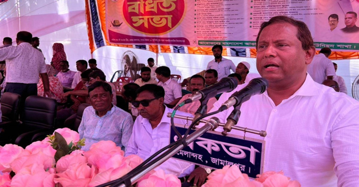শেখ হাসিনা দেশের প্রতিটি গ্রামকে শহরে রূপান্তরিত করেছেন: মির্জা আজম