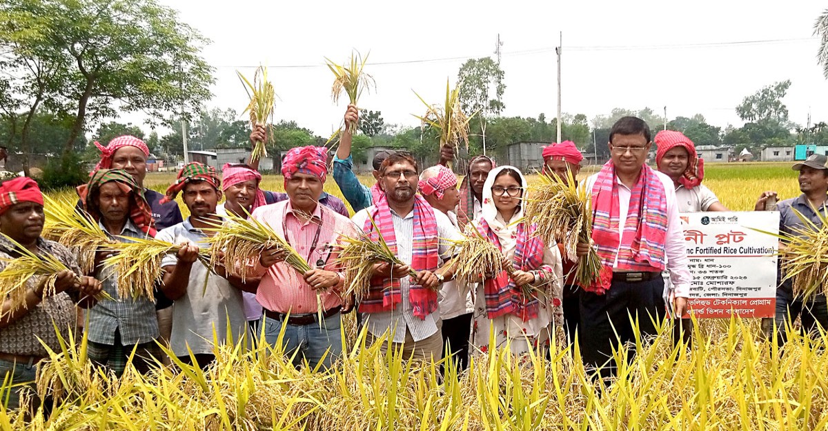 দিনাজপুরে ‘বঙ্গবন্ধু ধান জাত’ প্রদর্শনীর কৃষক মাঠ দিবস পালিত