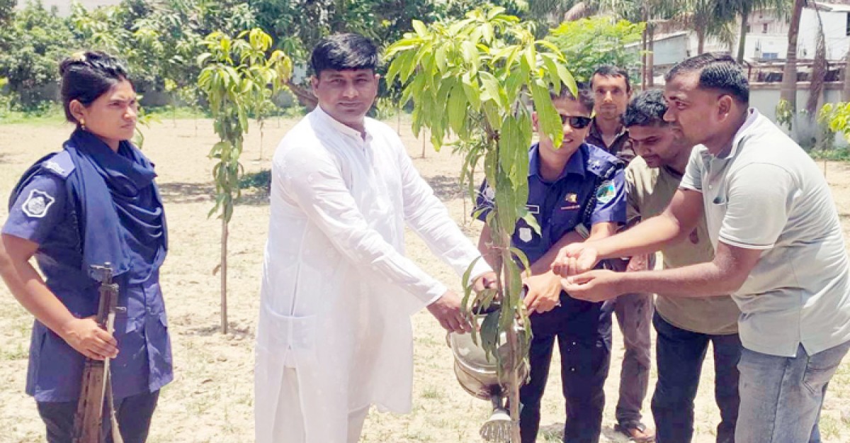 নওগাঁর নিয়ামতপুরে থানা চত্বরে ও‘সির উদ্যোগে বৃক্ষ রোপন