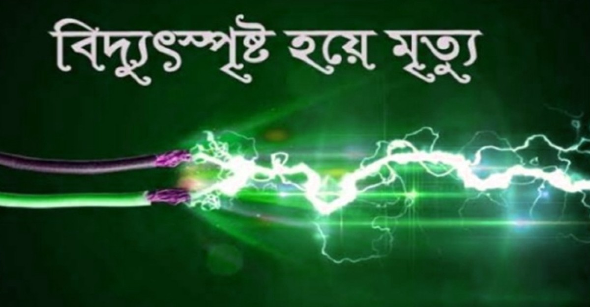 বিদ্যুৎ বিচ্ছিন্ন না করে কাজ, প্রাণ গেল কর্মীর!