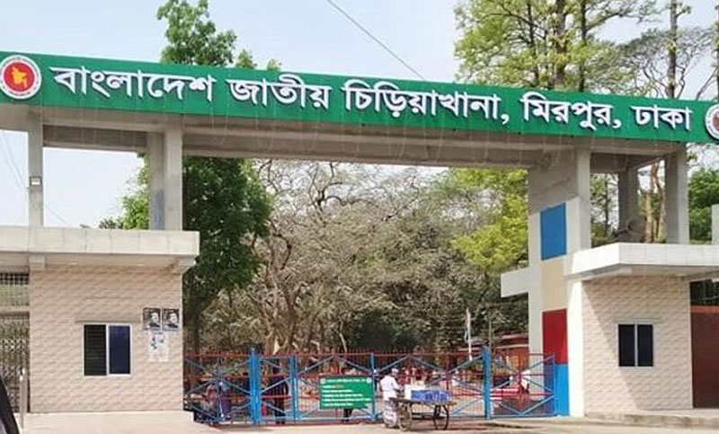 মিরপুর চিড়িয়াখানায় হায়েনার কামড়ে শিশুর হাত বিচ্ছিন্ন
