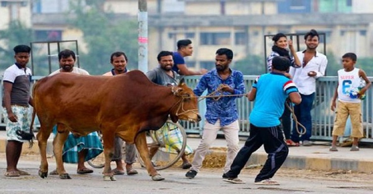 দেশে কোরবানির পশুর সংখ্যা ১ কোটি ২৫ লাখ: প্রাণিসম্পদ মন্ত্রী