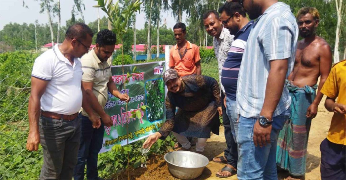 ফুলবাড়ীতে গাছের চারা রোপণ ও বিতরণ