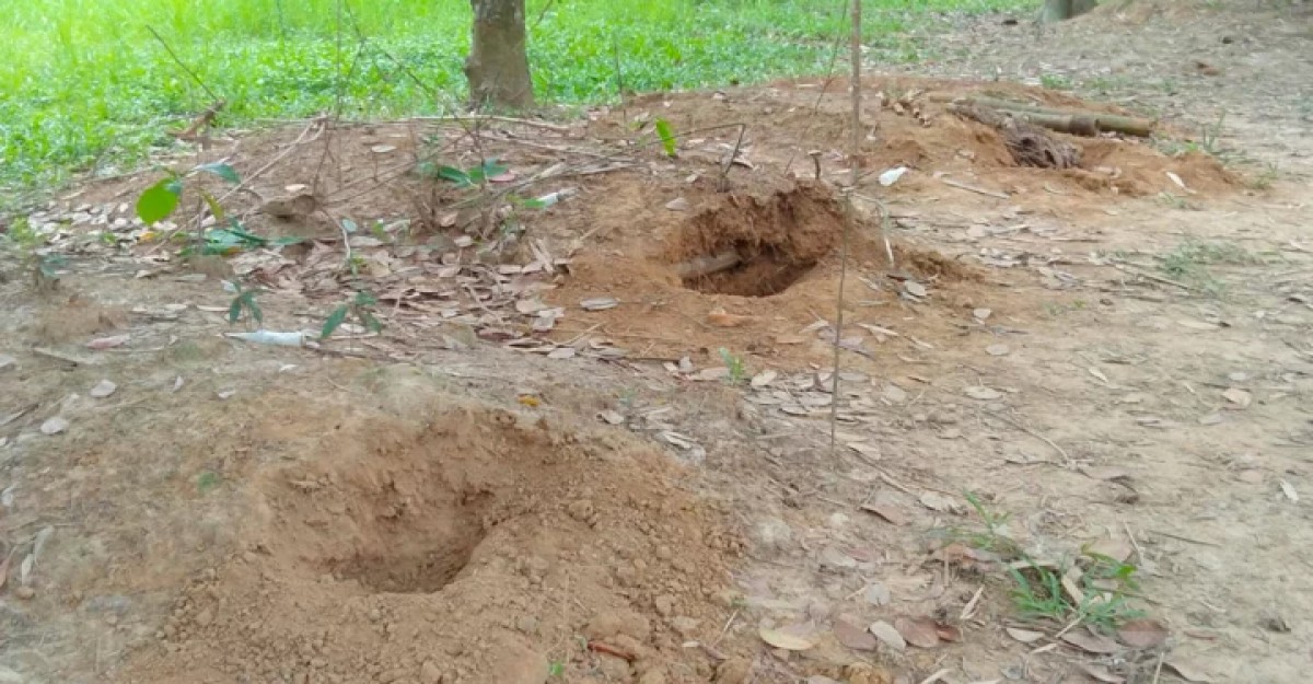 শ্রীপুরে কবর খুঁড়ে ৪ টি কঙ্কাল চুরি