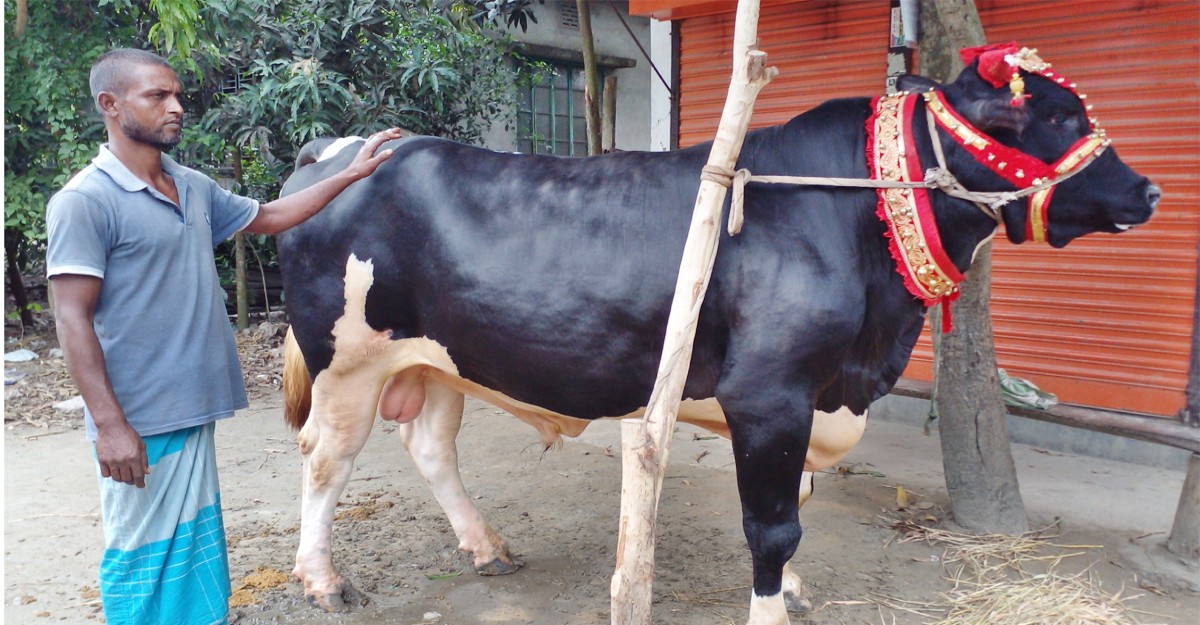 শ্রীনগরে বিক্রম রাজাকে দেখতে এলাকাবাসীর ভিড়