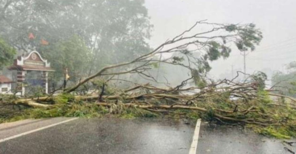 ঘূর্ণিঝড় বিপর্যয়: গুজরাটের বহু এলাকা ক্ষতিগ্রস্থ, ২ জনের মৃত্যু