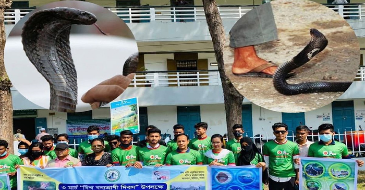 পটুয়াখালীতে সর্পদংশনে চিকিৎসা থাকলেও সাপের কামড়ে কেন এতো মানুষের মৃত্যু?