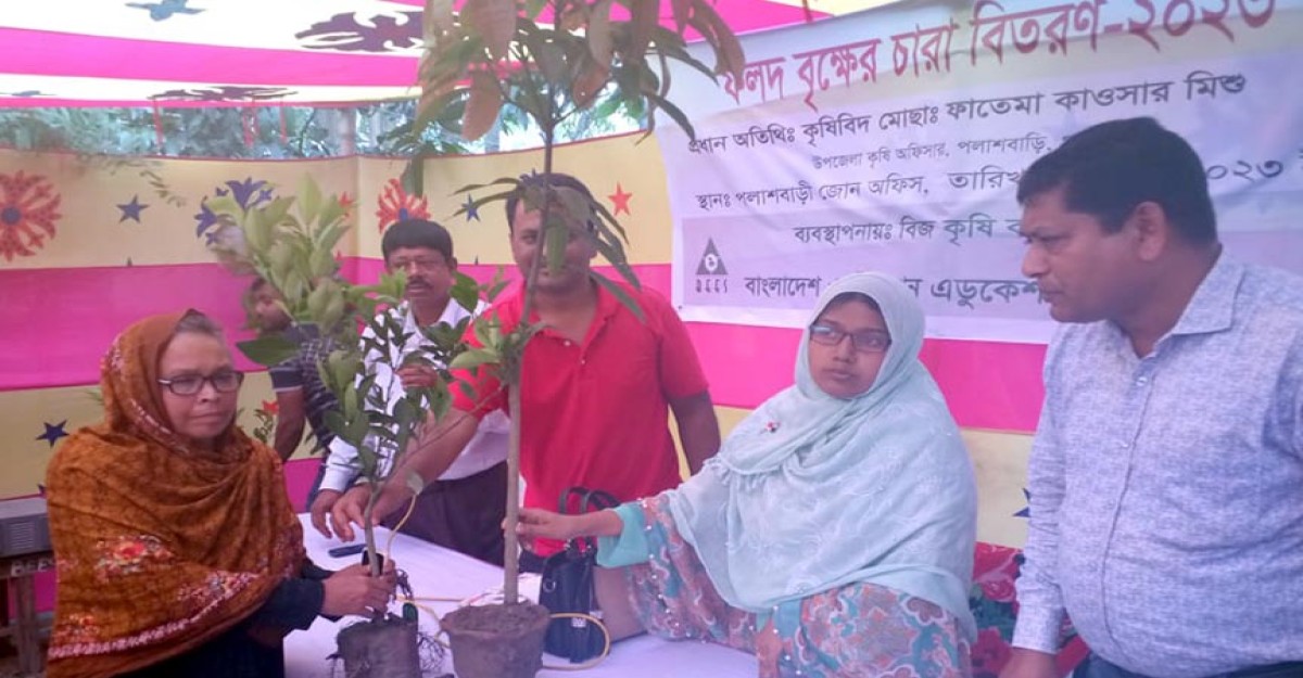 পলাশবাড়ীতে বিজ এনজিও’র কৃষি কর্মসূচির ফলদ বৃক্ষের চারা বিতরণ