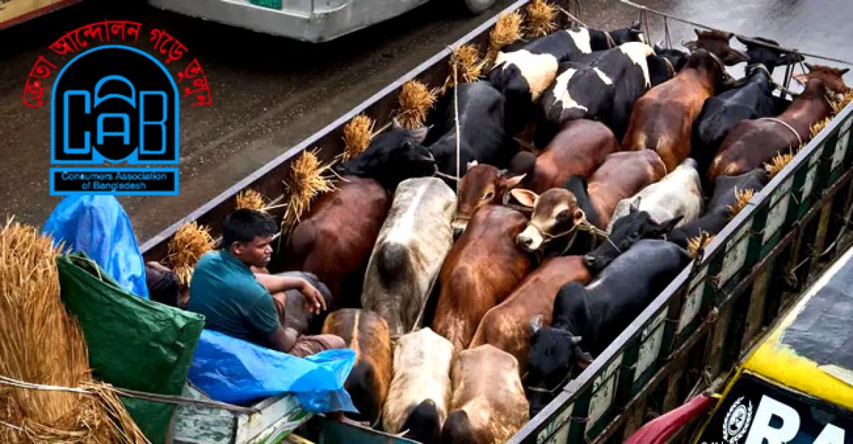 ঈদের আগে এক লাখ গরু আমদানির সুপারিশ ক্যাবের