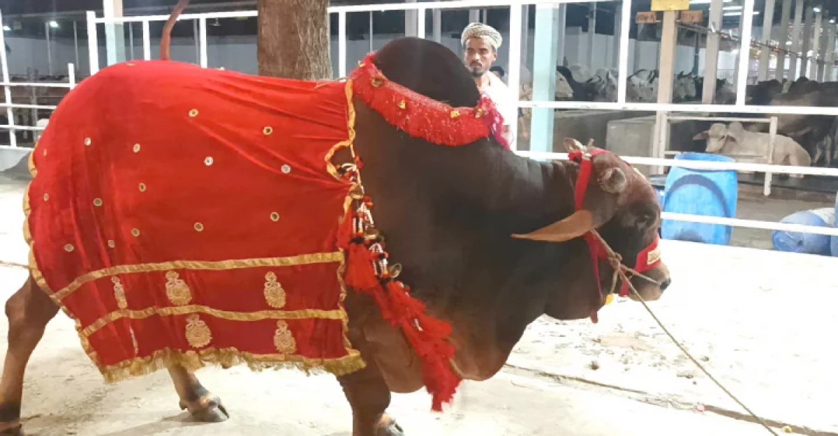 শিগগিরই হাটে উঠবে ‘জায়েদ খান’