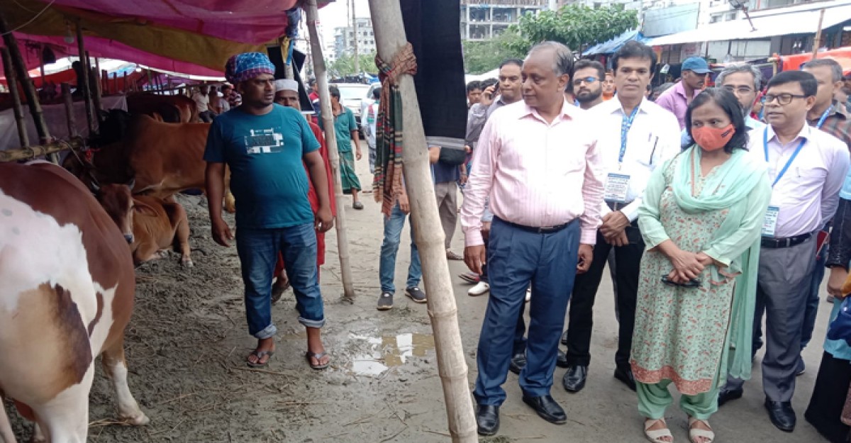 রাজধানীতে কোরবানির পশুর হাট পরিদর্শনে প্রাণিসম্পদ সচিব