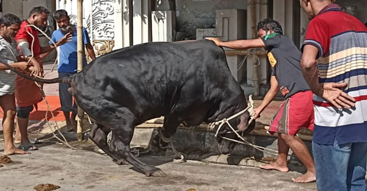 পবিত্র ঈদুল আজহা আজ