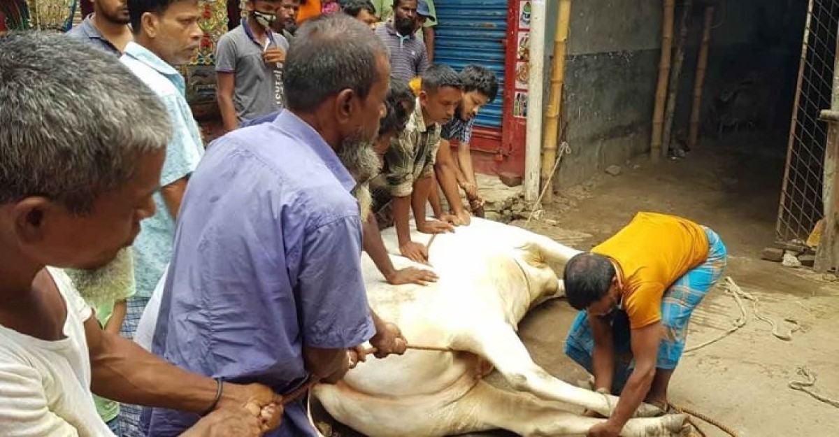 রাজধানীতে চলছে পশু কোরবানি
