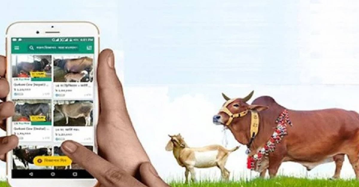 অনলাইনে সাড়ে ৪ লাখের বেশি পশু বিক্রি