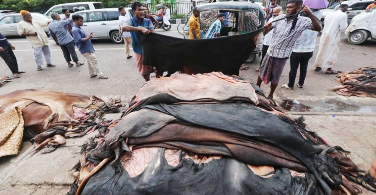 ঈদের দিন সাড়ে ৪ লাখ পিস চামড়া সংগ্রহ