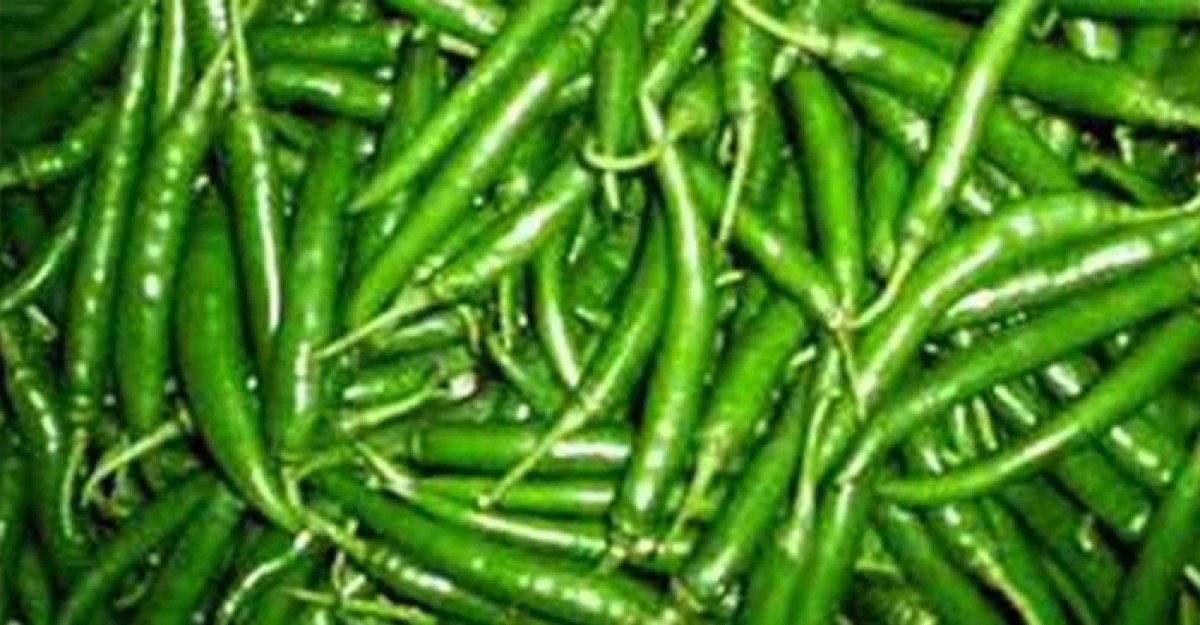 কাঁচামরিচের কেজি ৮০০ টাকা