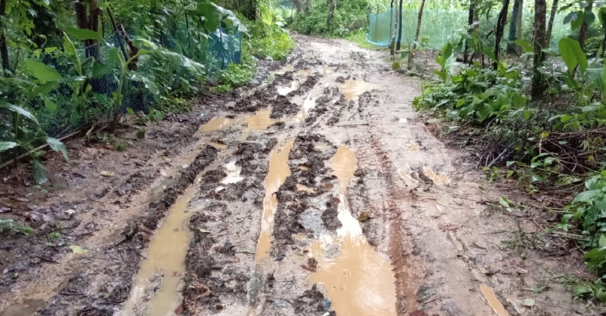 মির্জাপুরে পাকা রাস্তার অভাবে জন-দূর্ভোগ চরমে