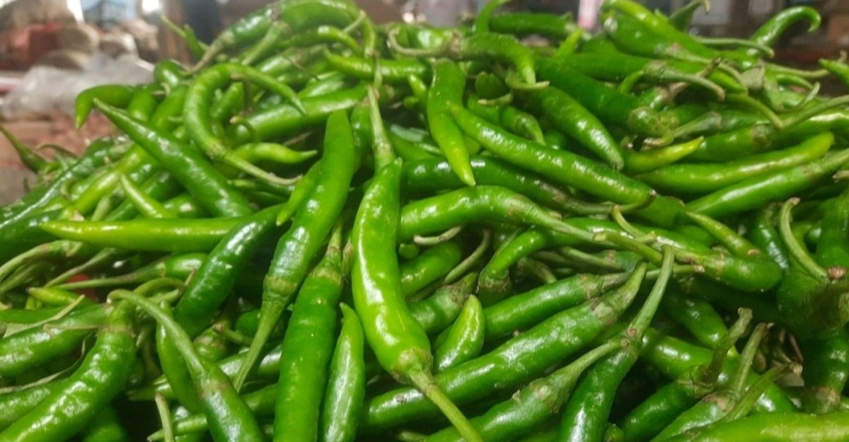 হিলিতে দাম কমলো কাঁচা মরিচের