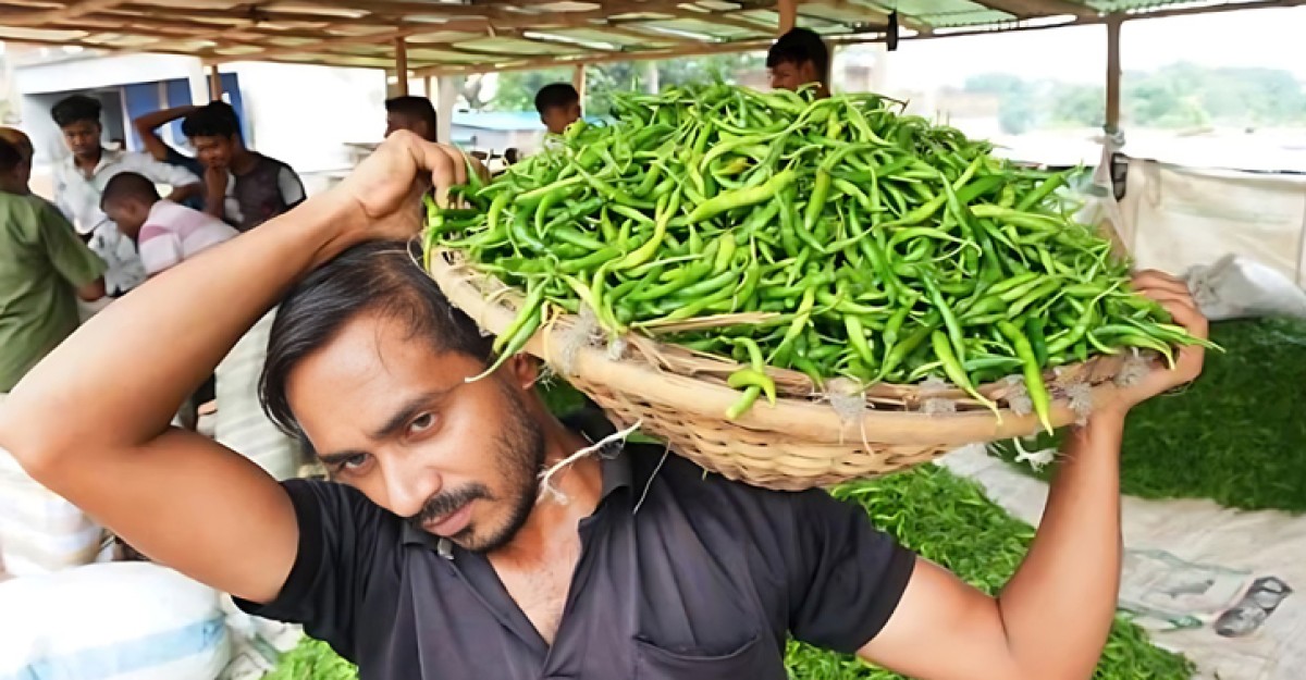 কাঁচা মরিচ আমদানি বন্ধ করলেন ব্যবসায়ীরা