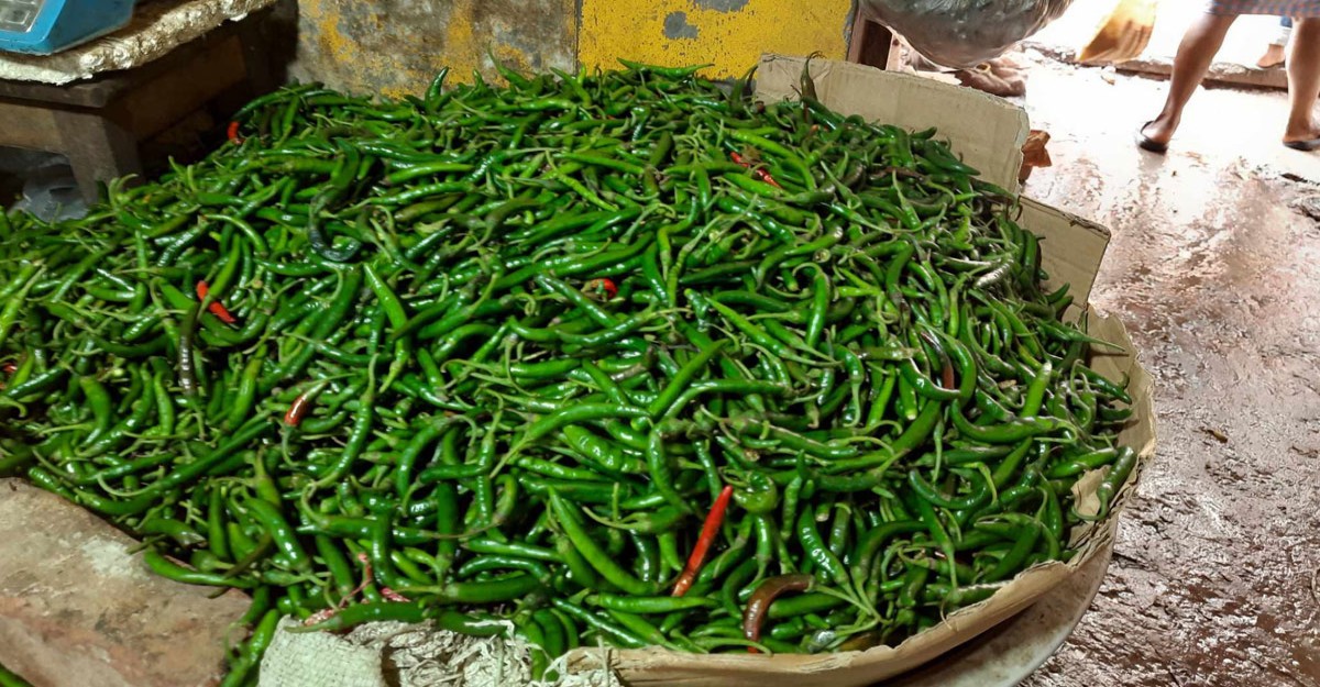 আবারও কাঁচা মরিচের কেজি ৫০০ টাকা