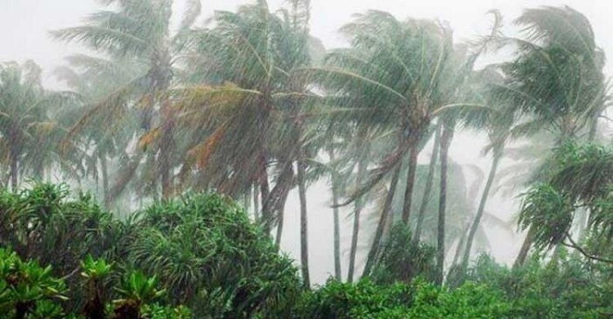 দুপুর ১টার মধ্যে বজ্রসহ বৃষ্টির সম্ভাবনা