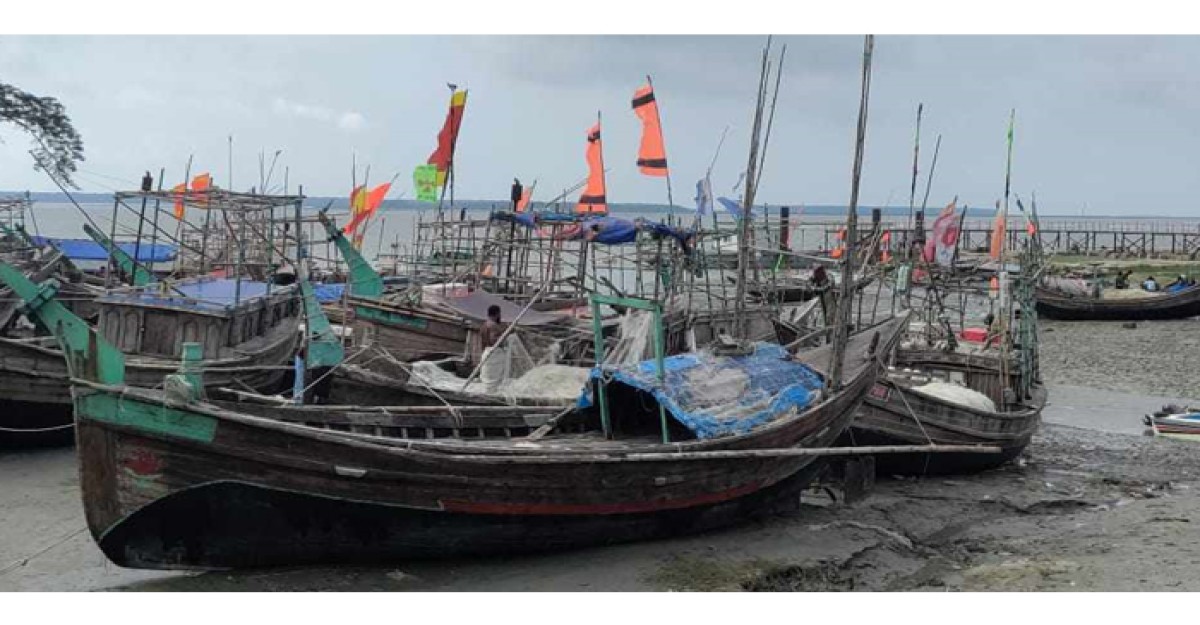 ইলিশের ভরা মৌসুমে মেঘনা ও তেতুলিয়ায় মিলছে না কাঙ্খিত ইলিশ
