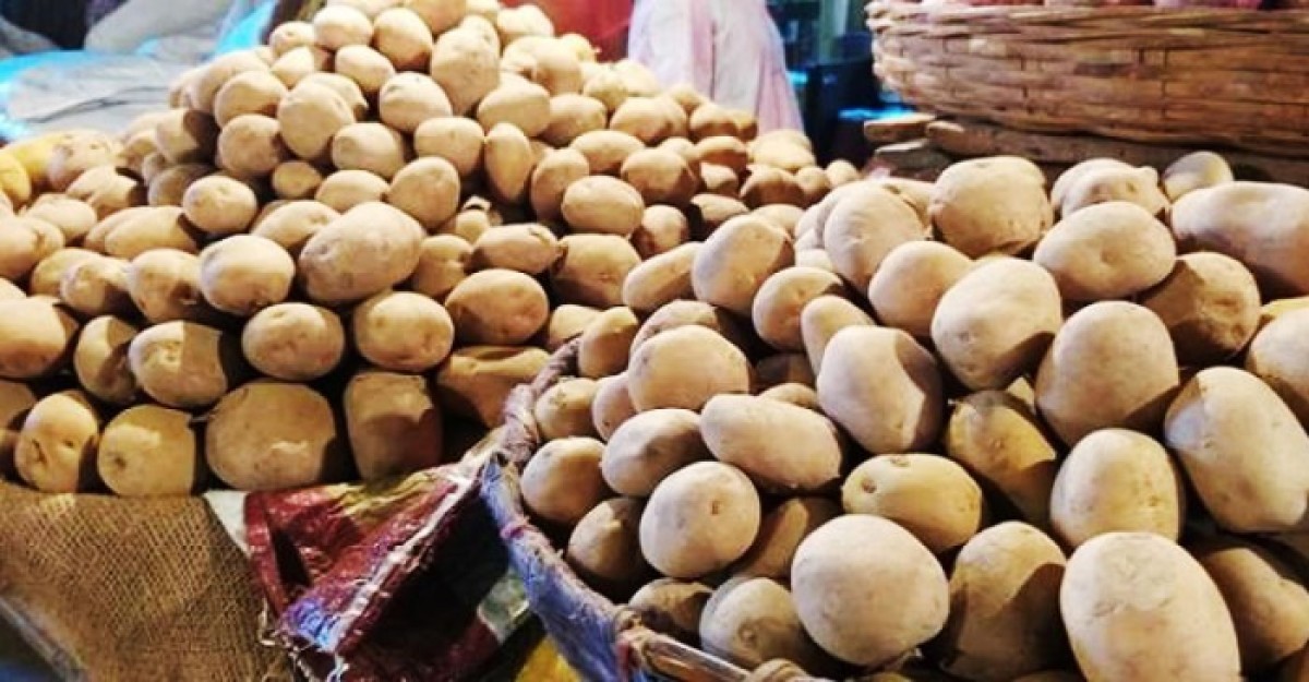 আলুর কেজি ৫০ টাকা