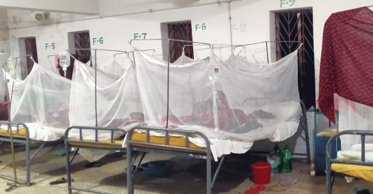 দুমকীতে বেড়েই চলেছে ডেঙ্গু রোগীর সংখ্যা